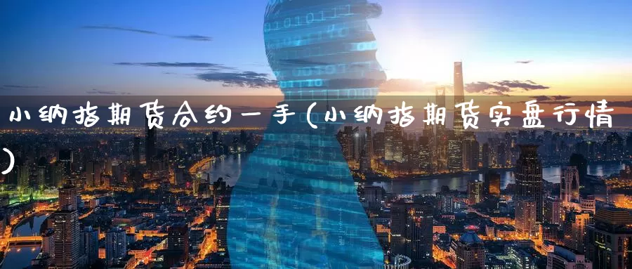 小纳指期货合约一手(小纳指期货实盘行情)