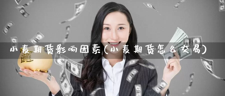 小麦期货影响因素(小麦期货怎么交易)
