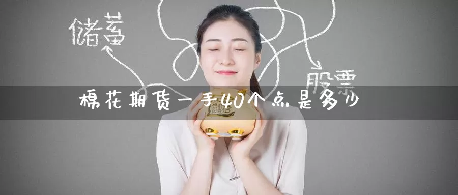 棉花期货一手40个点是多少