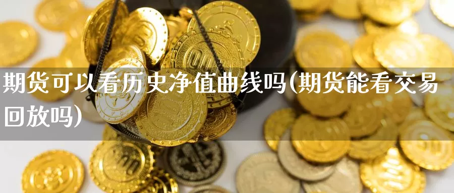 期货可以看历史净值曲线吗(期货能看交易回放吗)