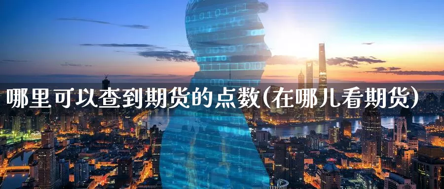 哪里可以查到期货的点数(在哪儿看期货)