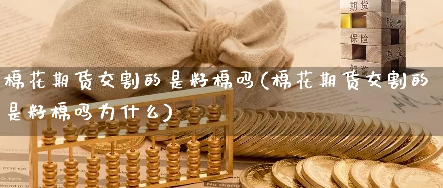 棉花期货交割的是籽棉吗(棉花期货交割的是籽棉吗为什么)