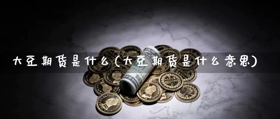 大豆期货是什么(大豆期货是什么意思)