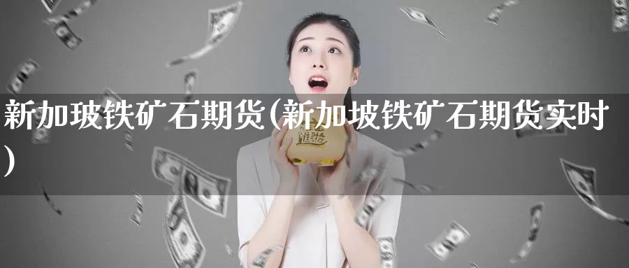 新加玻铁矿石期货(新加坡铁矿石期货实时)
