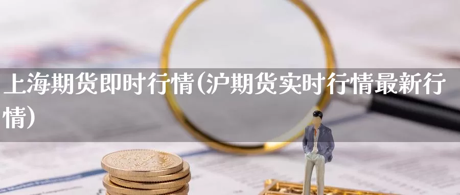 上海期货即时行情(沪期货实时行情最新行情)