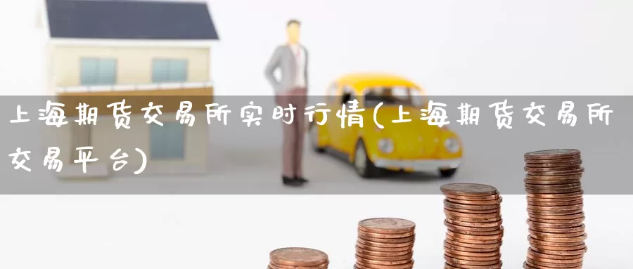 上海期货交易所实时行情(上海期货交易所交易平台)