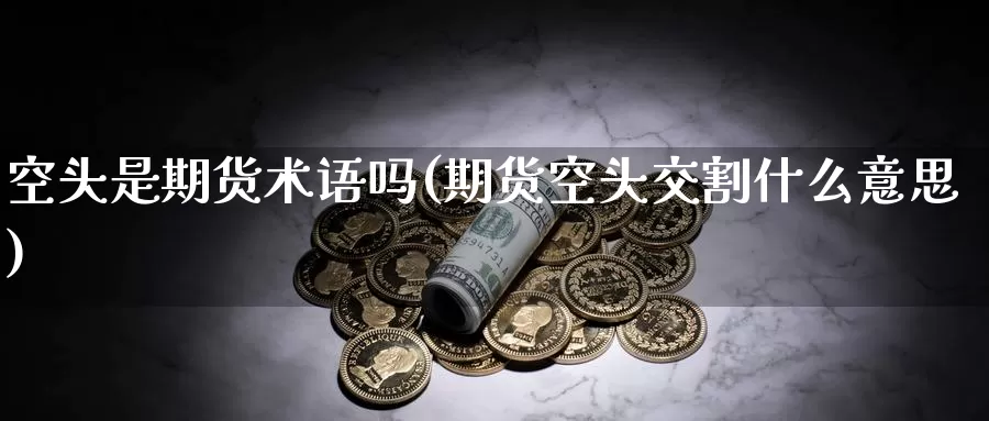 空头是期货术语吗(期货空头交割什么意思)