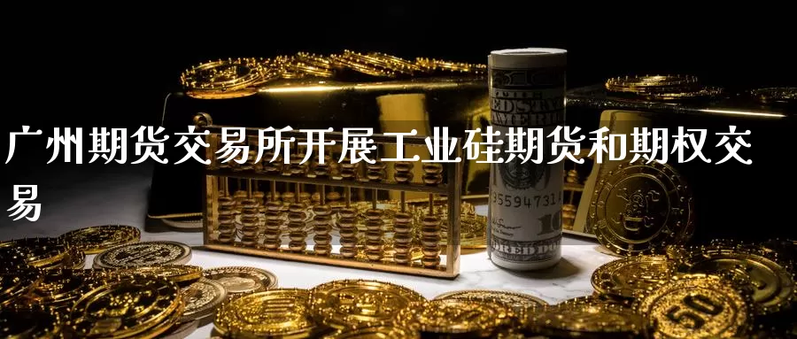 广州期货交易所开展工业硅期货和期权交易
