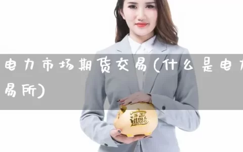 什么是电力市场期货交易(什么是电力市场期货交易所)