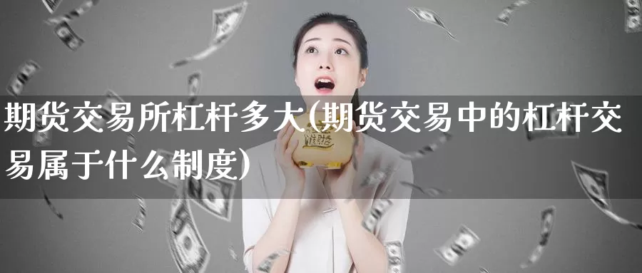 期货交易所杠杆多大(期货交易中的杠杆交易属于什么制度)