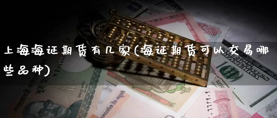 上海海证期货有几家(海证期货可以交易哪些品种)