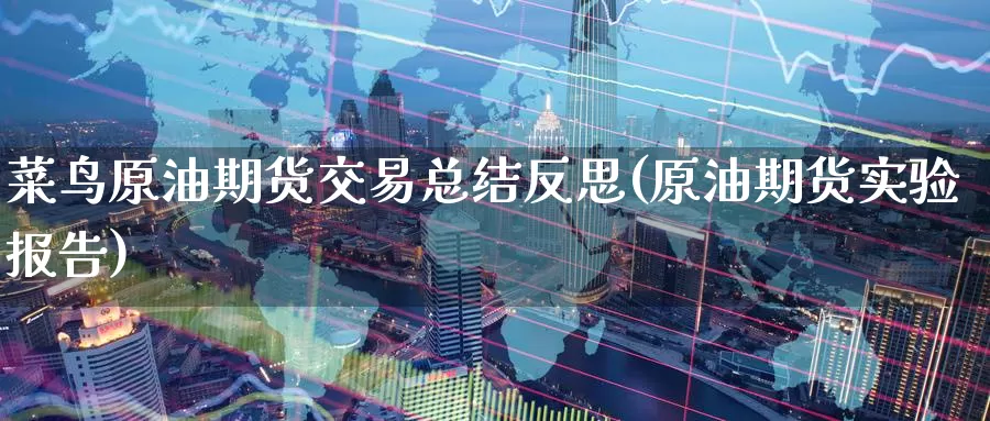 菜鸟原油期货交易总结反思(原油期货实验报告)