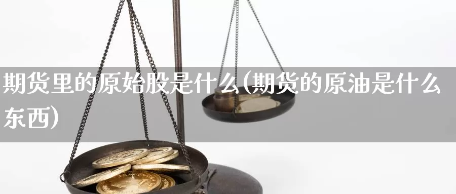 期货里的原始股是什么(期货的原油是什么东西)