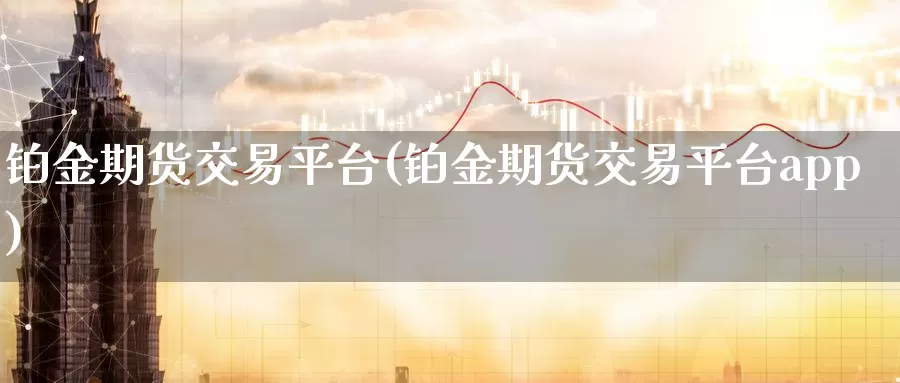 铂金期货交易平台(铂金期货交易平台app)