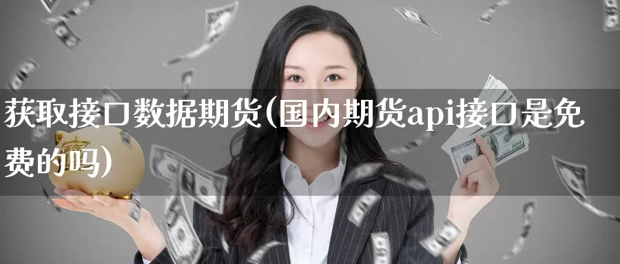 获取接口数据期货(国内期货api接口是免费的吗)
