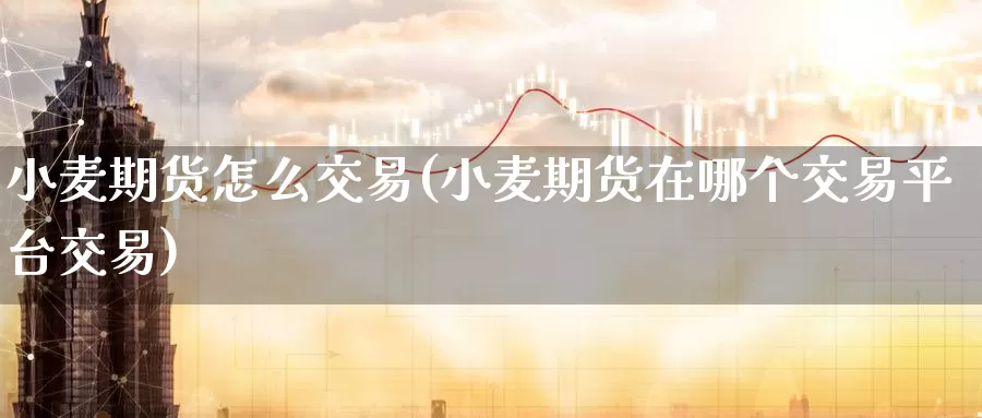 小麦期货怎么交易(小麦期货在哪个交易平台交易)