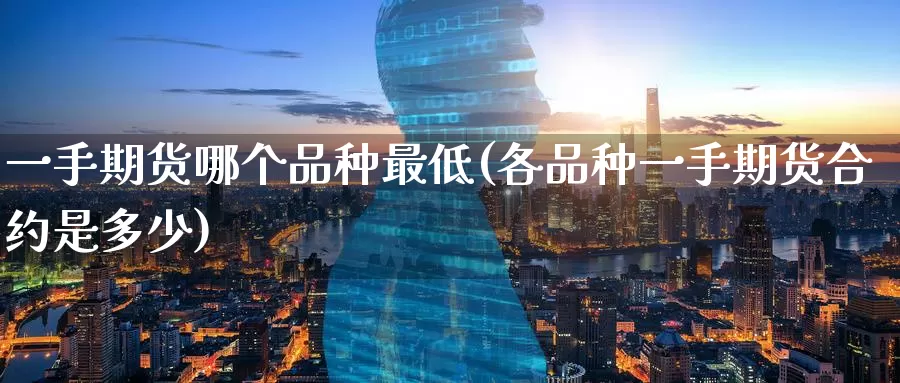 一手期货哪个品种最低(各品种一手期货合约是多少)
