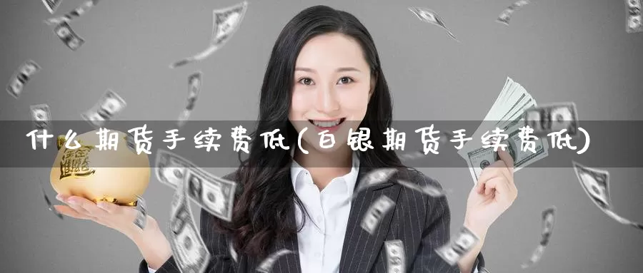 什么期货手续费低(白银期货手续费低)