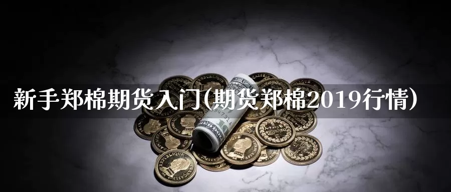新手郑棉期货入门(期货郑棉2019行情)