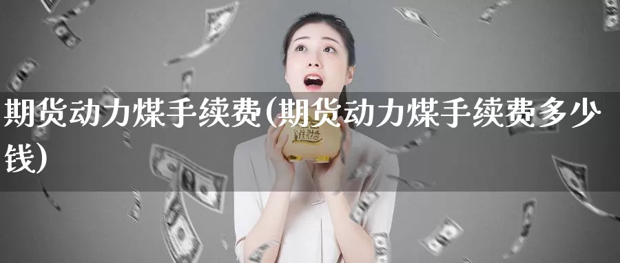 期货动力煤手续费(期货动力煤手续费多少钱)