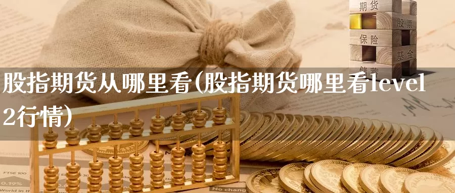 股指期货从哪里看(股指期货哪里看level2行情)
