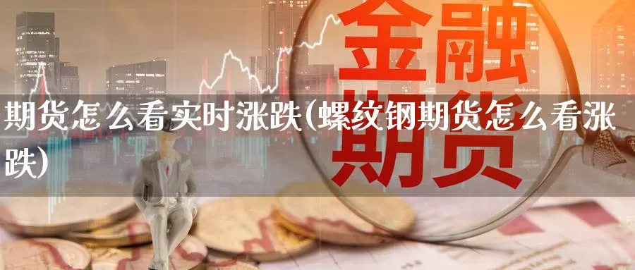 期货怎么看实时涨跌(螺纹钢期货怎么看涨跌)