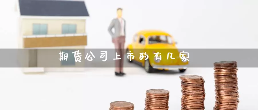 期货公司上市的有几家