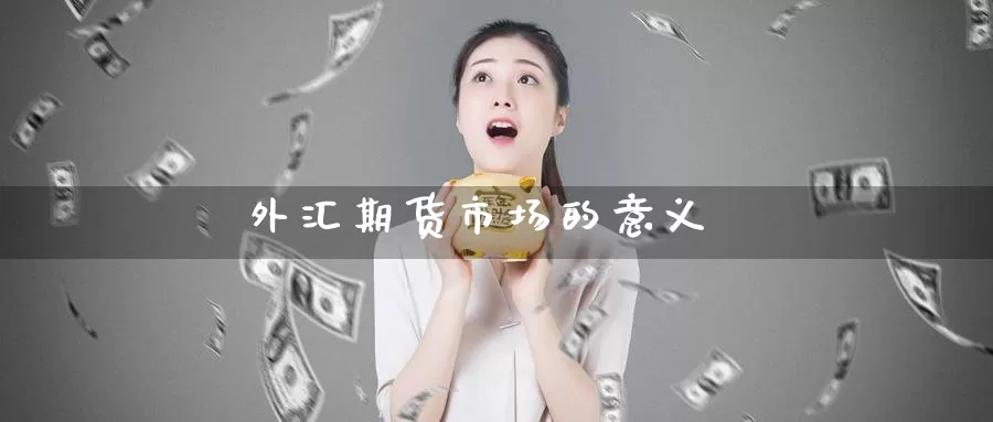 外汇期货市场的意义