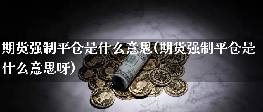 期货强制平仓是什么意思(期货强制平仓是什么意思呀)