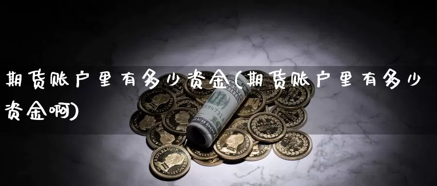 期货账户里有多少资金(期货账户里有多少资金啊)
