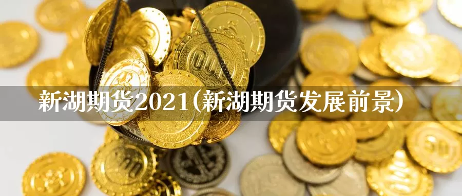 新湖期货2021(新湖期货发展前景)