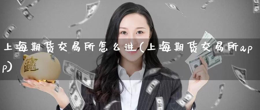 上海期货交易所怎么进(上海期货交易所app)