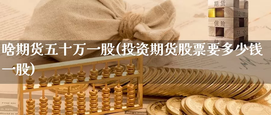 啥期货五十万一股(投资期货股票要多少钱一股)