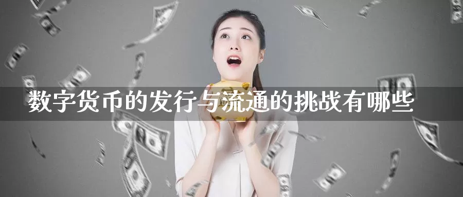 数字货币的发行与流通的挑战有哪些