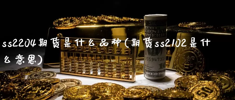 ss2204期货是什么品种(期货ss2102是什么意思)