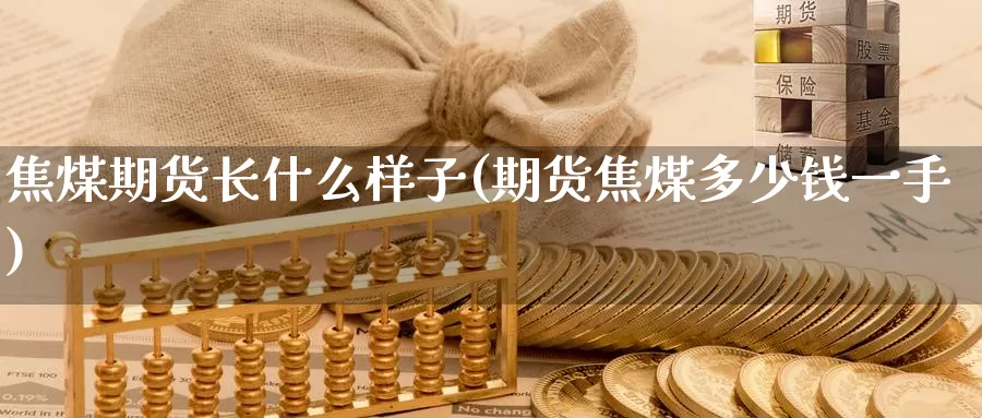 焦煤期货长什么样子(期货焦煤多少钱一手)