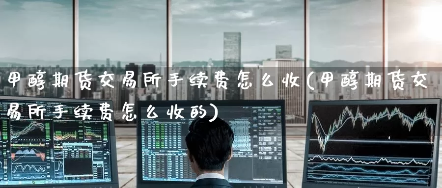 甲醇期货交易所手续费怎么收(甲醇期货交易所手续费怎么收的)