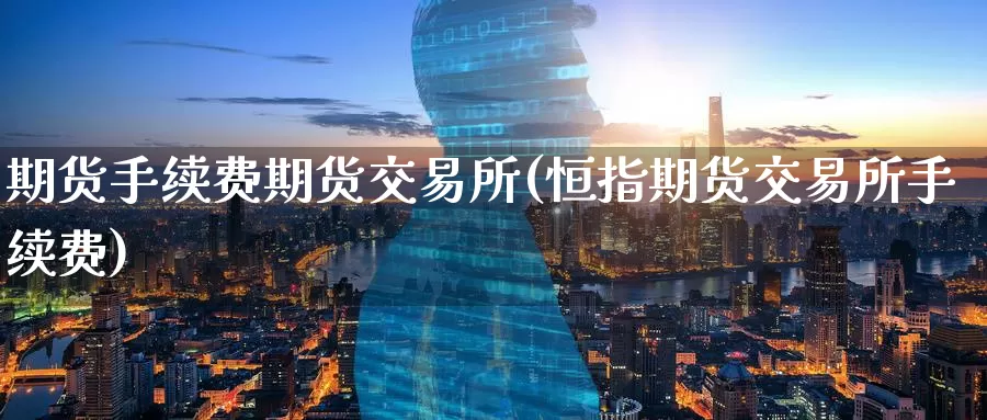 期货手续费期货交易所(恒指期货交易所手续费)