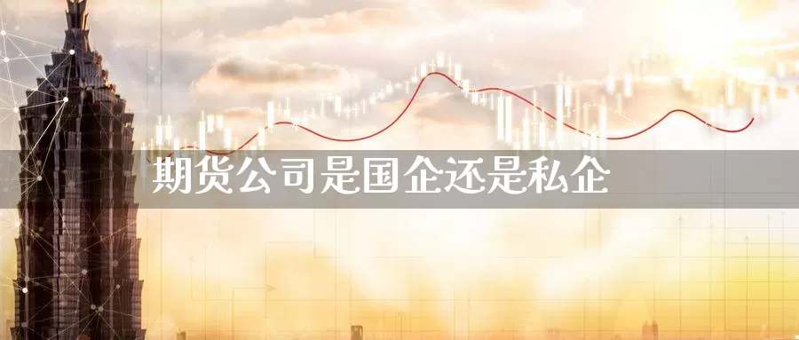 期货公司是国企还是私企