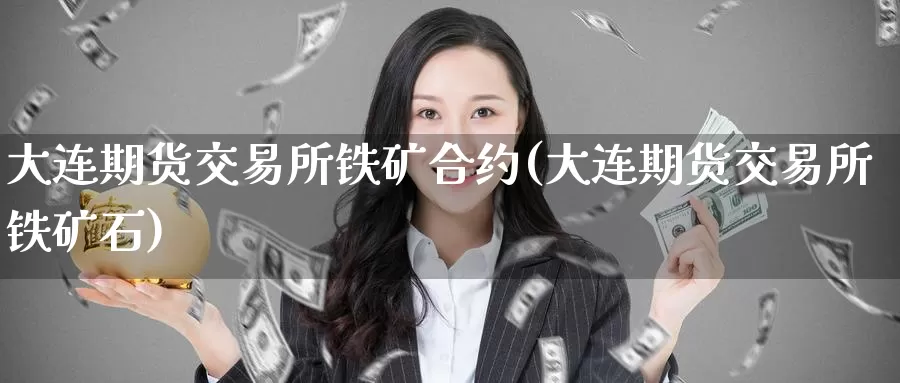大连期货交易所铁矿合约(大连期货交易所铁矿石)