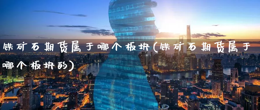 铁矿石期货属于哪个板块(铁矿石期货属于哪个板块的)