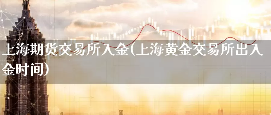 上海期货交易所入金(上海黄金交易所出入金时间)