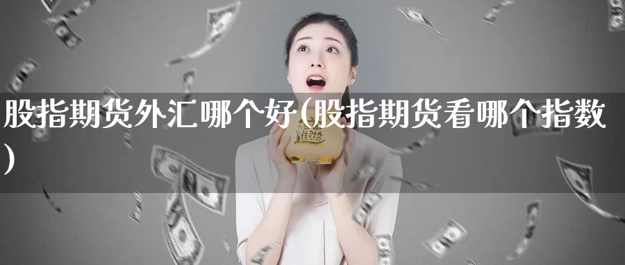 股指期货外汇哪个好(股指期货看哪个指数)