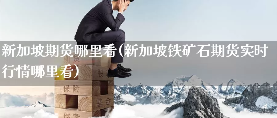 新加坡期货哪里看(新加坡铁矿石期货实时行情哪里看)