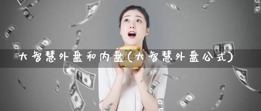 大智慧外盘和内盘(大智慧外盘公式)