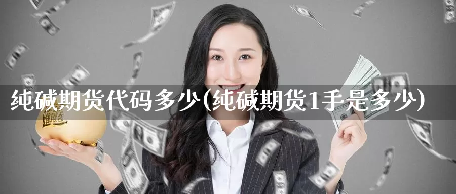 纯碱期货代码多少(纯碱期货1手是多少)