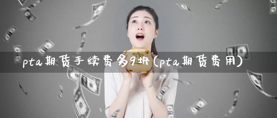 pta期货手续费多9块(pta期货费用)