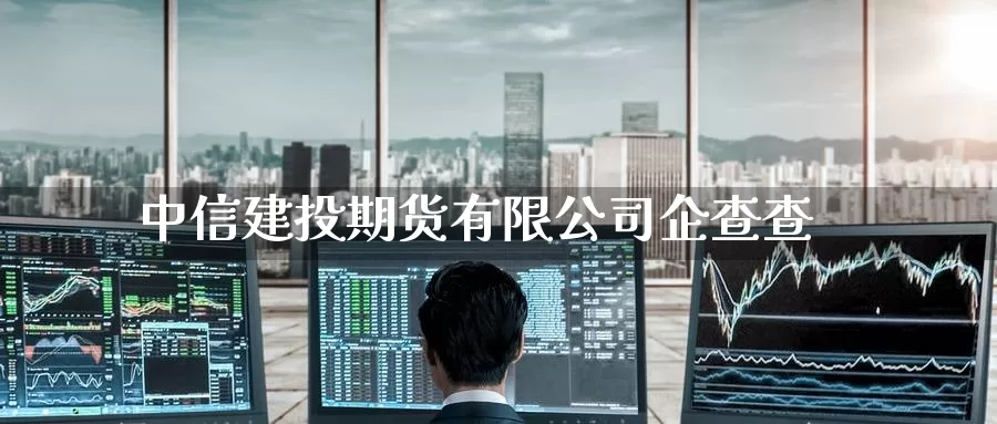中信建投期货有限公司企查查