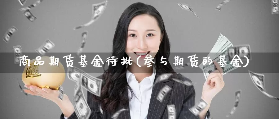 商品期货基金待批(参与期货的基金)