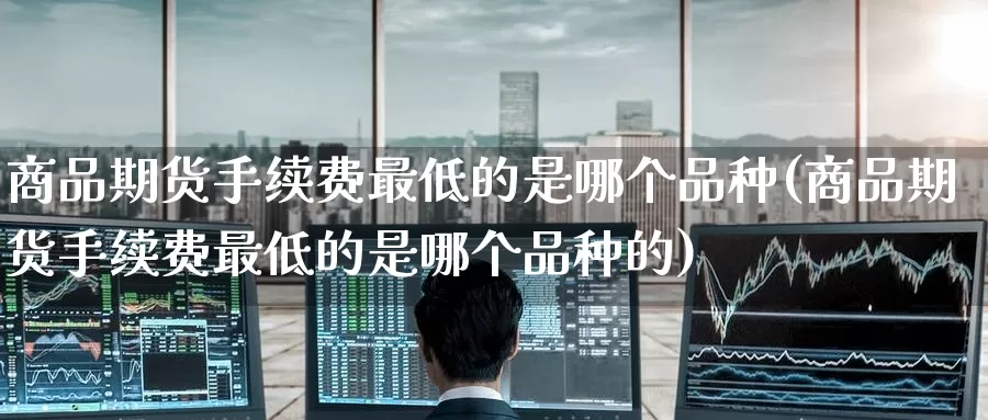 商品期货手续费最低的是哪个品种(商品期货手续费最低的是哪个品种的)